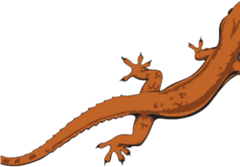 Gecko Clipart Transparent Background - Lizard Clipart Png