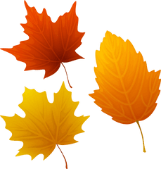 Download Autumn Leaves Cliparts Msr - 7 Autumn Leaves Autumn Leaves Clipart Png