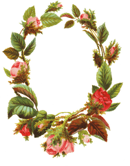 Flower Borders And Frames - Flower Png