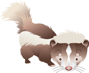 Skunk In Png - Clip Art