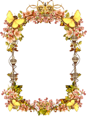 Photo Frame Png Images Transparent - Flowers Deviantart Border