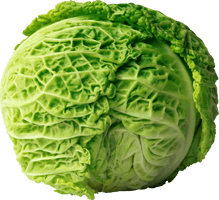 Cabbage Png Image