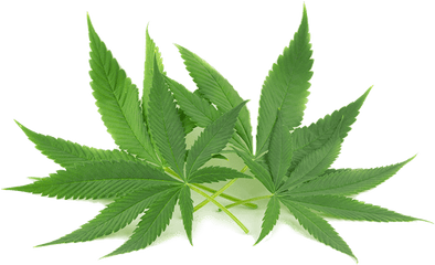 Cbd Good For High Blood Pressure - Cannabidiol Png