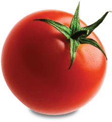 Tomato Png Transparent Images - Tomato Png Transparent