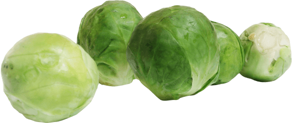 Download Brussels Sprouts Png Image For Free - Brussel Sprouts Clipart Png