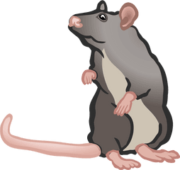 Mouse Clipart Free Download Transparent Png Creazilla - 2 Mouse Clipart