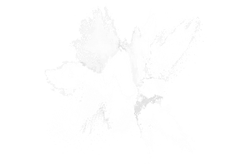 Ink Transprent - White Powder Splash Png