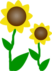 Sunflower Clip Art Clipart - Clip Art Flowers Png