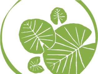 Lily Pad Logo Transparent Png Image - Lily Pad Png