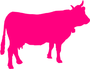 Transparent Background Clipart - Pink Cow Silhouette Png