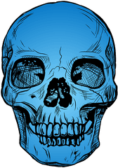 Skull Blue Skeleton - Free Image On Pixa 940569 Png Hitam Putih Keren 3d