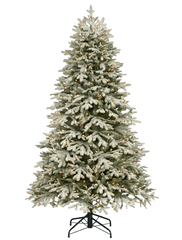 Christmas Tree With Snow Png Image - Different Types Of Christmas Trees