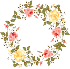 Floral Circle Png - Transparent Floral Background Png