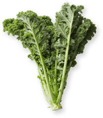 Kale - Kale Plant Png
