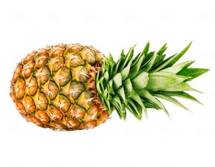 Pineapple Png Free Download - Photo 303 Pngfilenet