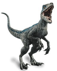 Fallen Kingdom Blue The Velociraptor By - Velociraptor Blue Png