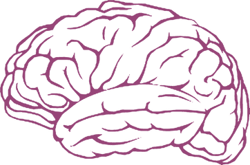 Free Brain Clipart Mind Pictures - Transparent Brain Outline Png