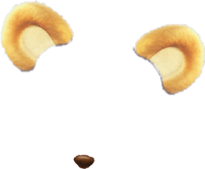 Download Mouse Ears Snapchatfilter - Mouse Nose Ears Png