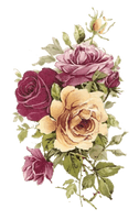 Plant Flower Rose Paper Vintage Flowering Clothing - Free PNG
