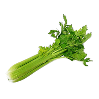 Celery Green Organic Download Free Image - Free PNG