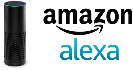 Download Hd Amazon Echo Alexa Skills - Amazon Echo Alexa Logo Png