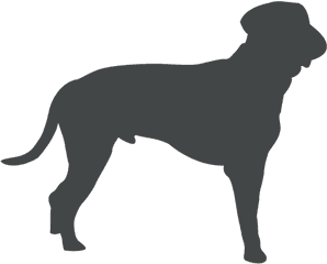 Old Dog Silhouette Posing Ad Aff Sponsored - Dog Png