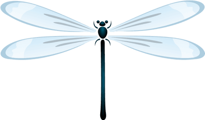 Mr - 91 Dragonfly Png V20 Background Transparent Background Clipart Dragonflies