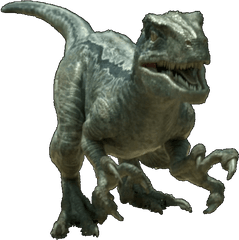 Velociraptor Jurassic Park Transparent - Jurassic World Velociraptor Charlie Png