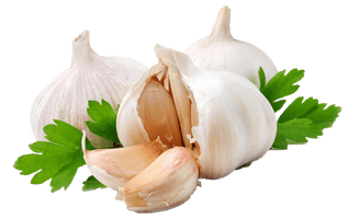 Garlic Png Image