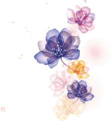 Adobe Euclidean Vector Illustrator - Transparent Background Flower Illustration Png