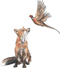 Contact U2014 The Fox U0026 Pheasant - Fox And The Pheasant Png