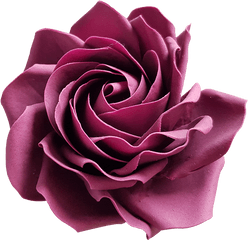 Purple Rose - Garden Roses Png