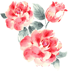 Rose Bush Png - Roses Drawings Png