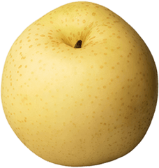 Download Asian Pear Png Free - Asian Pear Png