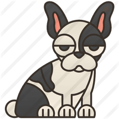 French Bulldog - Free Animals Icons Cool French Bulldogs Outline Png