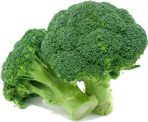 Broccoli Png Images Free Download - Broccoli Transparent