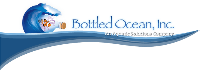 Bottled Ocean Tv Debut - Edible Arrangements Png