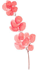 Download Petal Flower Watercolor Painting - Watercolor Transparent Background Flowers Png