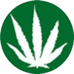 Cropped - Norml Png