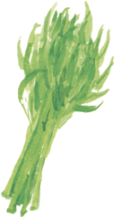 Water Spinach - Lasagne Png