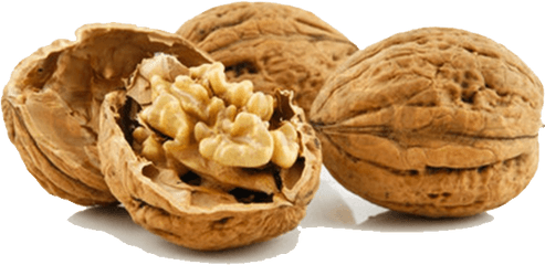 Walnut Png Image - Akhrot Png