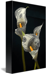 Calla Lilly 100 Dollar Bills By John Bradley - Cash Png