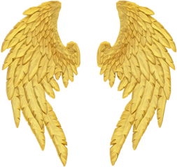 Gold - Angel Wings Gold Png