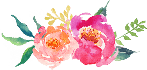 Download Hd Watercolor Peonies Png - Transparent Background Flower Peonies Png