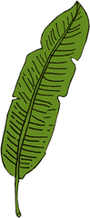 Fern Clipart Achievement Award - Clip Art Png