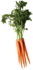 Carrot Png Image - Carrot Png Top