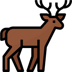 Deer Free Vector Icons Designed By Monkik Icon - Deer Png