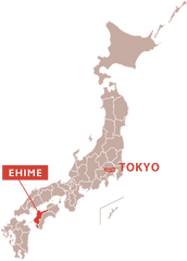 Ehime - Tradition In Daily Life Chugokushikokutokyo Japan Japan Map Icon Png