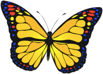 Yellow Butterfly Png - Brandy Melville Orange Butterfly